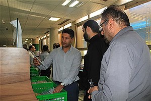 تلاش کارکنان پست استان فارس در ایام نزدیک به اربعین حسینی قابل تقدیر است