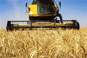 تأخیر 48 روزه شورای قیمت گذاری محصولات کشاورزی در تعیین قیمت‌ها