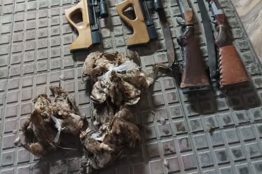 2 نفر متخلف شکار به همراه 4 قبضه اسلحه و 19 قطعه لاشه تیهو در شهرستان جهرم دستگیر شدند