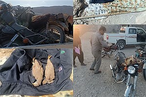 کشف سلاح و دستگیری 4 متخلف محیط زیست در شهرستان قیروکارزین