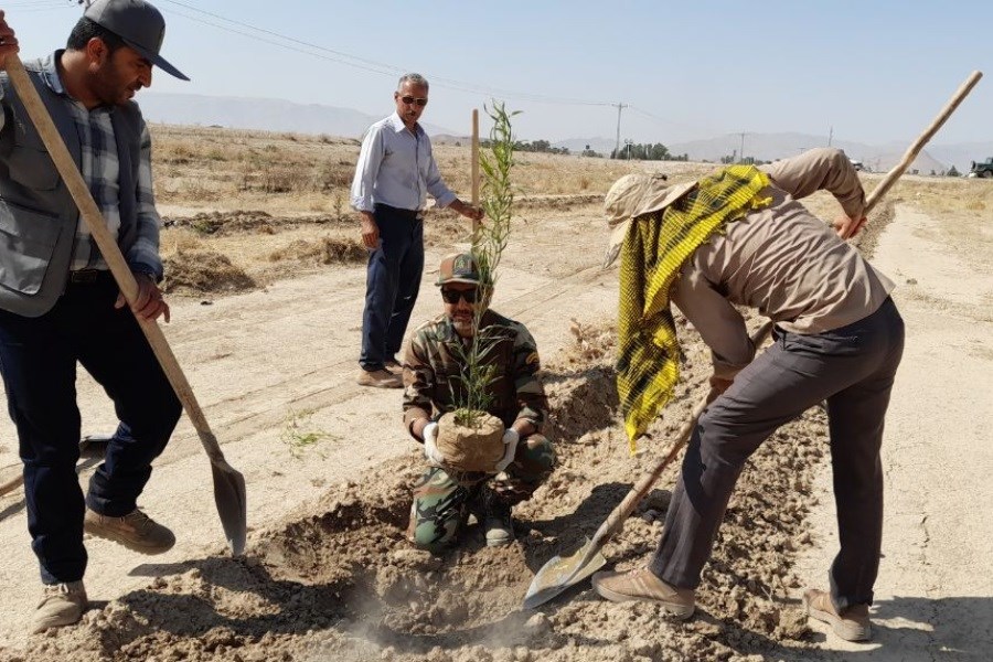 پاسداشت شهدای غزه با کاشت نهال در شهرستان فسا