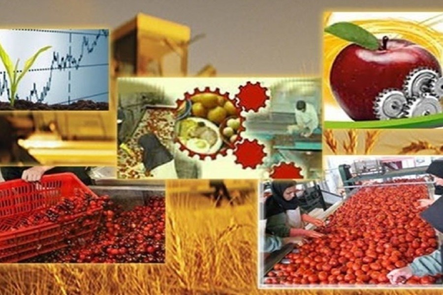 83 هزار تنی ظرفیت صنایع تبدیلی و غذایی استان بوشهر افزایش یافت