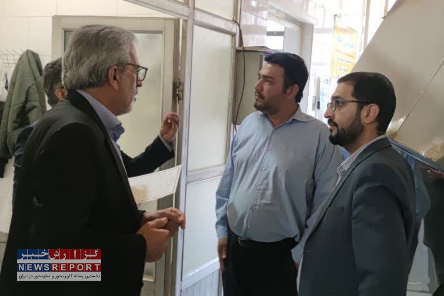 سرزده فرماندار از نانوایی‌ها و پلمب یک نانوایی در نی‌ریز بازدید کرد