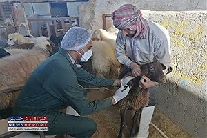 تصویر  جهاد دامپزشکی با هدف محرومیت زدایی روستاهای کم برخوردار