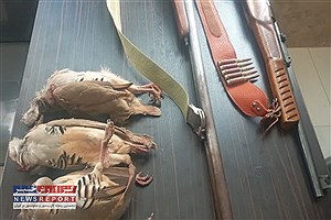 دو قبضه اسلحه در شهرستان سرچهان کشف و ضبط شد