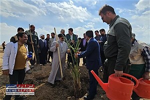 احداث نخلستان هوشمند در قالب نهضت ملی طرح کاشت یک میلیارد درخت در کشور آغاز شد