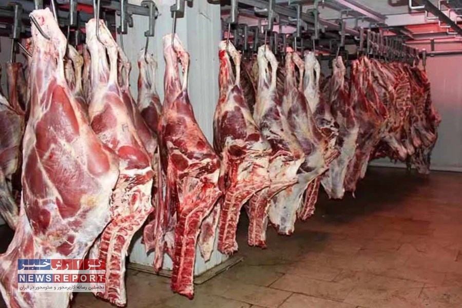 تصویر نزدیک به دو هزار و 600 تن گوشت قرمز در بیضا تولید و عرضه شد