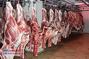 نزدیک به دو هزار و 600 تن گوشت قرمز در بیضا تولید و عرضه شد