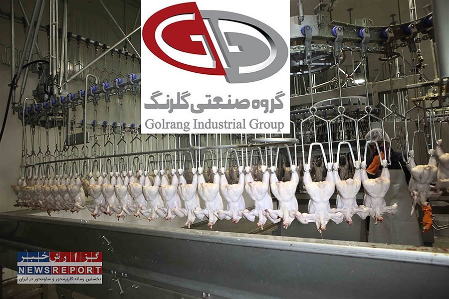 تصویر گلرنگ برای خرید سهام بزرگترین تولیدکننده مرغ گوشتی کشور دست به جیب شد
