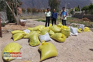 کارگاه غیرمجاز تولید قهوه در فیروزآباد تعطیل شد