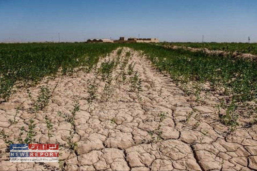 خسارت بیش از 150 میلیاردی خشکسالی به کشاورزی شهرستان خنج