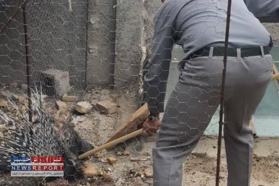 تصویر به دام افتادن شکارچی حرفه ای تشی در شیراز