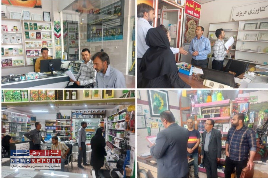 تصویر مانور سراسری نظارت، بازرسی و پایش داروخانه های گیاهپزشکی در شهرستان خنج برگزار شد