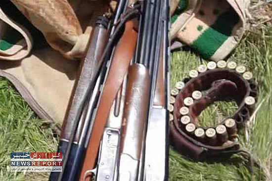 13 قطعه کبک زنده از شکارچیان پرنده و چهار قبضه اسلحه ساچمه زنی در شهرستان شیراز کشف و ضبط شد