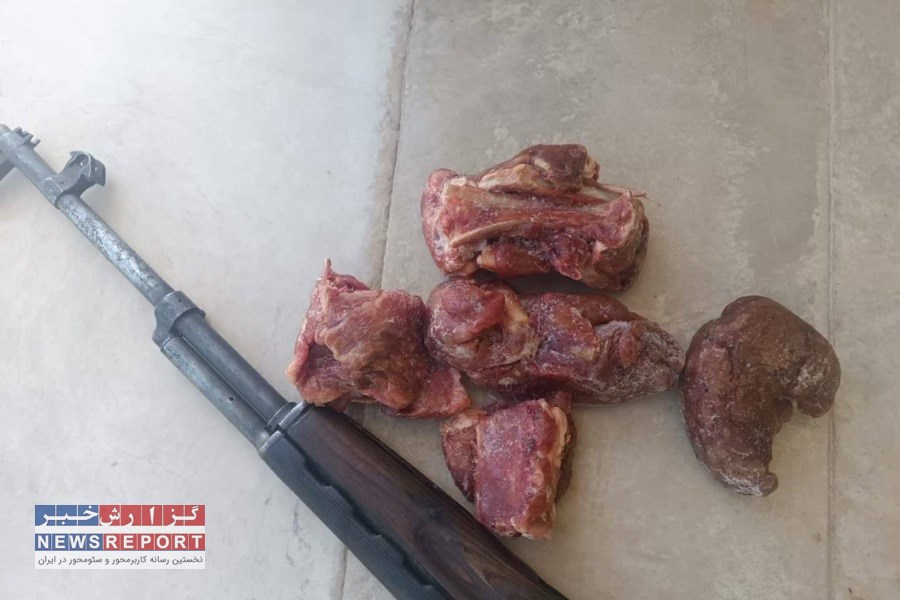 تصویر دستگری شکارچی قوچ وحشی (خرگوش و کبک و‌ تیهو وحشی) در شهرستان قیروکارزین