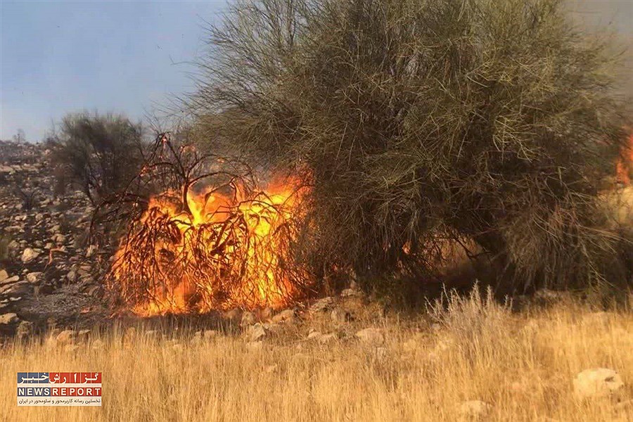 تصویر آتش در جنگل‌های منطقه کوه سیاه شهرستان رستم مهار شد