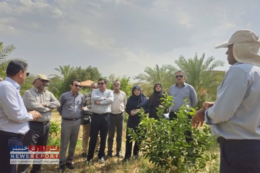 تاکید رئیس جهاد کشاورزی فارس بر ضرورت بهره مندی از تجربیات باغداران در مبارزه با آفات گیاهی