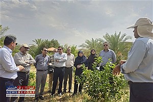 تاکید رئیس جهاد کشاورزی فارس بر ضرورت بهره مندی از تجربیات باغداران در مبارزه با آفات گیاهی