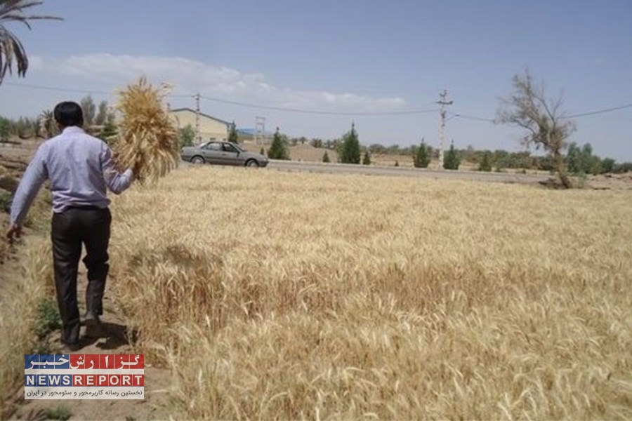 تصویر شروع کارشناسی برای سرشماری کشاورزی با 5 نفر در بافق