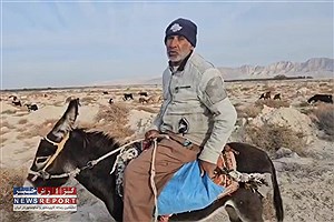 پدری که سالیان سال شغلش چوپانی بود