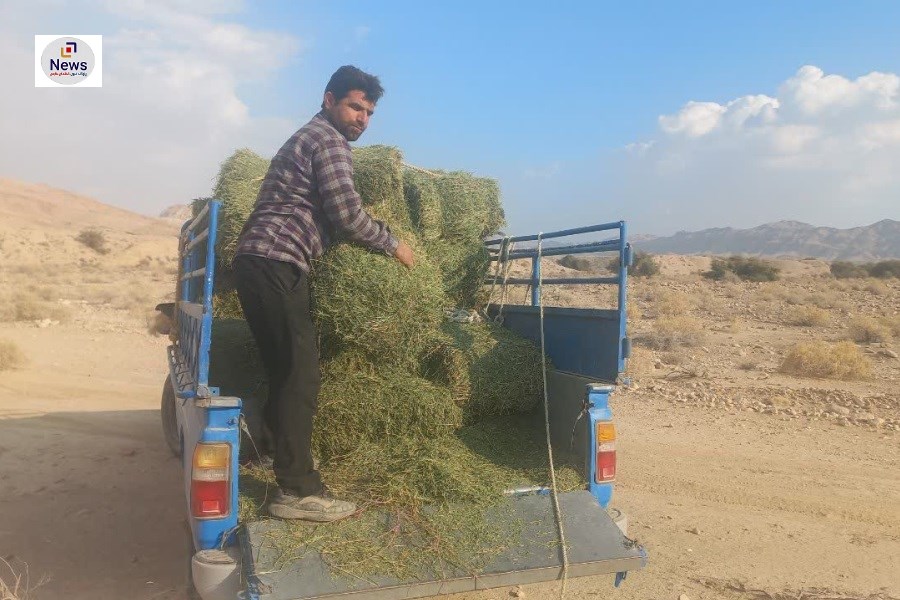 تصویر منطقه هرمود لارستان بهره‌مند از کمک‌های خیر طبیعت دوست گراشی