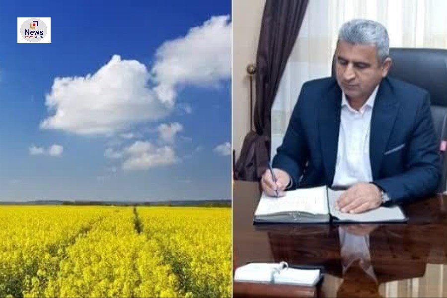 تصویر خریداری ۷۹٠ تن کلزا از کشاورزان فارس