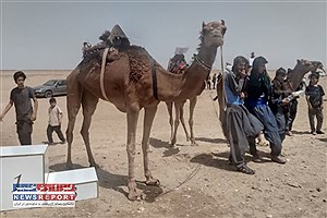 به مناسبت عید قربان بافق میزبان برگزاری مسابقات قهرمانی کشور و انتخابی تیم ملی شتر سواری