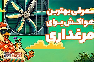 راهنمای انتخاب بهترین هواکش برای مرغداری + معرفی مدل های پرفروش