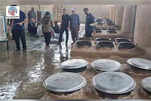 همدلی و همزبانی در پخت حلیم نذری در دهستان کال