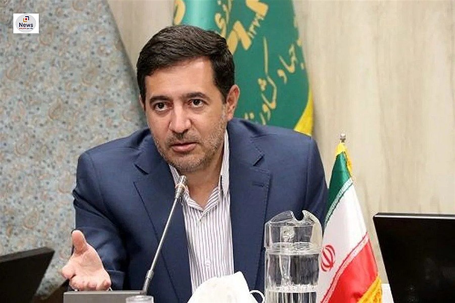 تصویر پایان کاشت طلای سفید در فارس