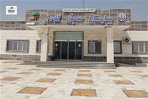 وضعیت بیمارستان گله‌دار: انتقادات و انتظارات&#47; مشکلات ساختاری و خدماتی بیمارستان گله‌دار در سایه بی‌توجهی مسئولان