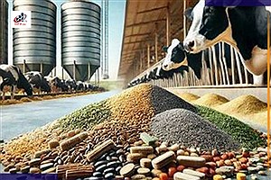 افزایش ۵۴ درصدی شاخص سلامت آبستنی در تلیسه‌‌های شرکت ملاردشیر