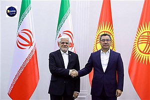 همبستگی کشورهای منطقه به افزایش ضریب امنیت در برابر تهدیدات خارجی کمک می‌کند.