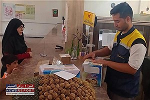 ارسال 86 تُن گردوی تویسرکان در بستر سرویس تجارت الکترونیک پست