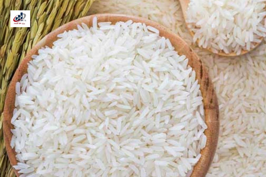 تصویر شوک قیمتی برنج: افزایش چشمگیر ۷۸٪ در ۶ ماه