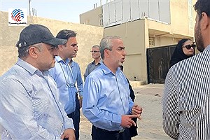 تجلیل شهردار و رئیس شورای اسلامی شهر لامرد از خبرنگاران