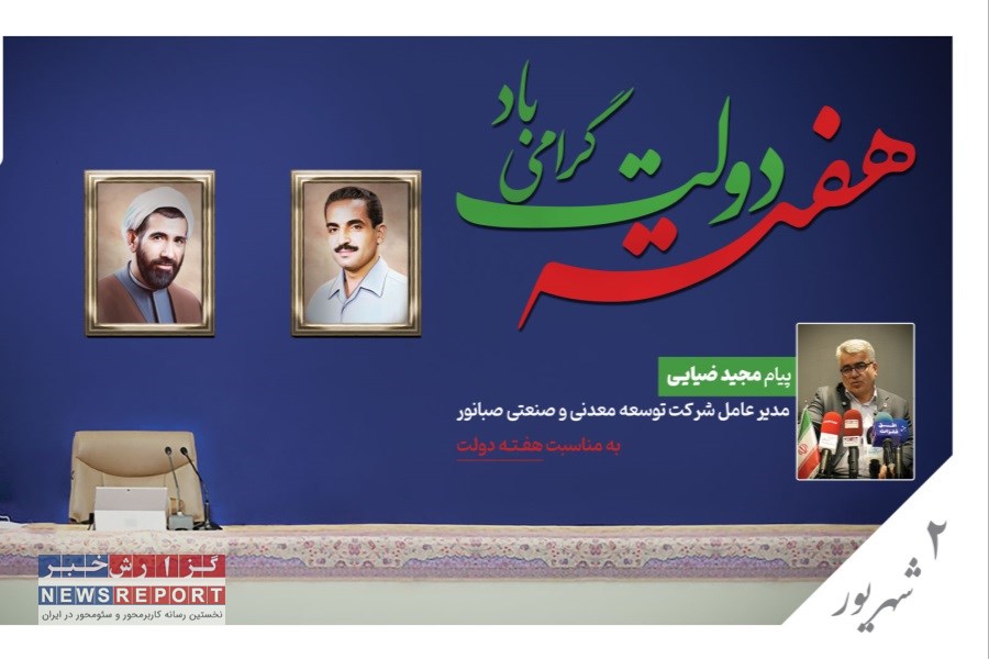 تصویر تأکید مدیرعامل صبانور بر هم‌افزایی دولت و بخش خصوصی در هفته دولت