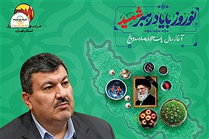 پیام نورزی مدیرعامل شرکت توزیع نیروی برق استان تهران