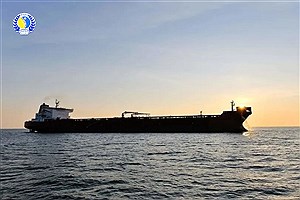 استان‌ها پیشگام اقتصاد؛ نگاهی به موفقیت‌ها و چالش‌های توسکا