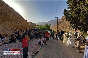 روایت پایداری یک درخت کهنسال؛ شادکام میزبان آیین پاسداشت سرو تاریخی شد