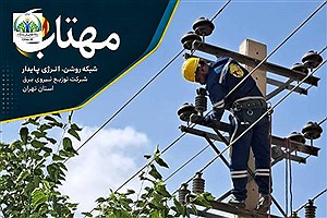 جمع‌آوری 286 برق غیرمجاز در هفدهمین مانور سراسری طرح مهتاب در استان تهران