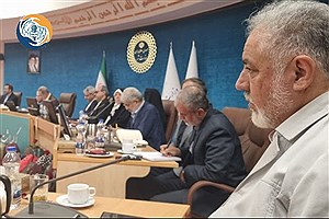 مدیرعامل بنیاد بین‌المللی خیریه آبشار عاطفه‌ها در همایش وزارت کشور