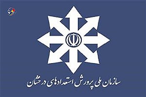 شبکه دانش‌آموختگان سمپاد شکل می‌گیرد؛ ظرفیتی برای پیشرفت علمی، اجتماعی و حرفه‌ای ایران