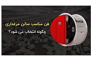 فن مناسب سالن مرغداری چگونه انتخاب می‌شود؟