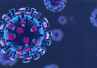 نانوپوشش‌ها راهکاری موثر برای کاهش انتقال ویروس کرونا
