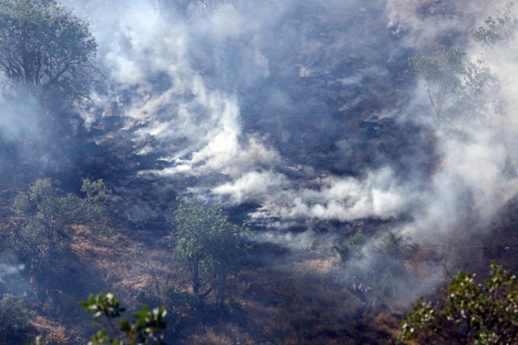تصویر خطر آتش‌سوزی بیخ گوش جنگل‌ها و مراتع کشور