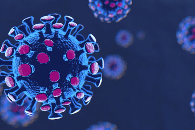تصویر نانوپوشش‌ها راهکاری موثر برای کاهش انتقال ویروس کرونا