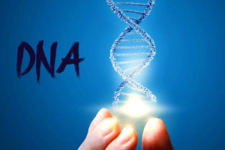 تصویر تاریخچه کشف و روز جهانی DNA