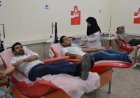 تهرانی ها در شب های قدر ۲۹۲۱ واحد خون اهدا کردند