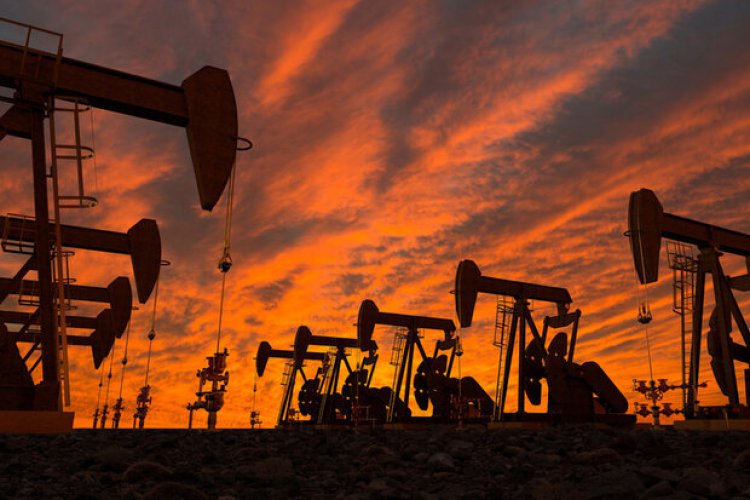تصویر قیمت نفت خام رشد کرد